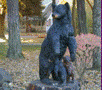 Bear and Cubs