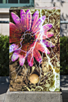 Electric Daisy