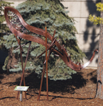 Nematode