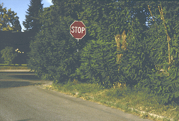 Obstruct_StopSign