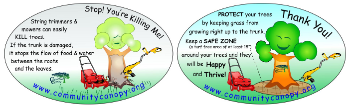 Safe Zones