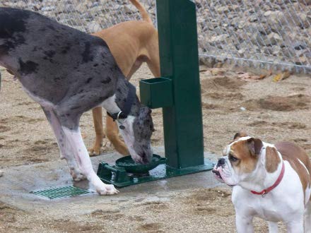 cherry-hill-dog-park4 small