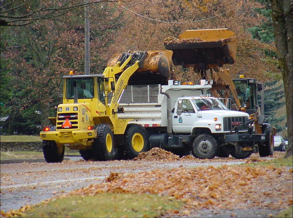 City of Coeur d'Alene CDA preps for annual Leaf Fest 2016 and pine