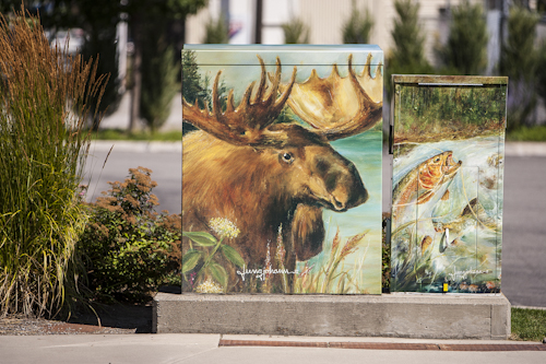 "Moose & Fly Fishing" by Kenneth Jungjohann