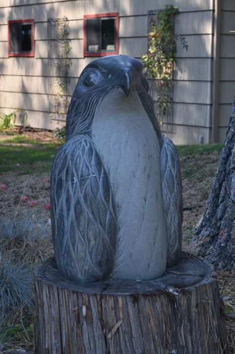 "Horace Falcon" private art located at 853 Government Way by Artist Dale Young